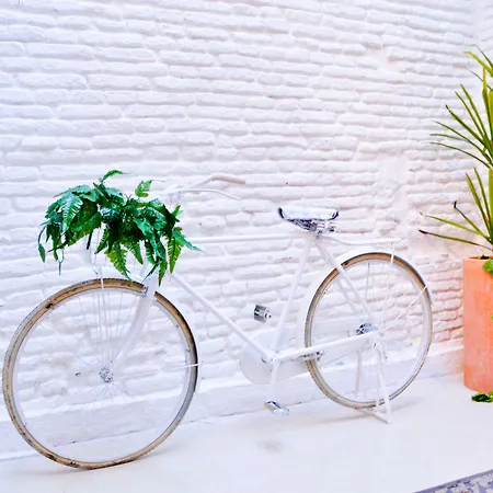 The Zentral Arenal Apartment